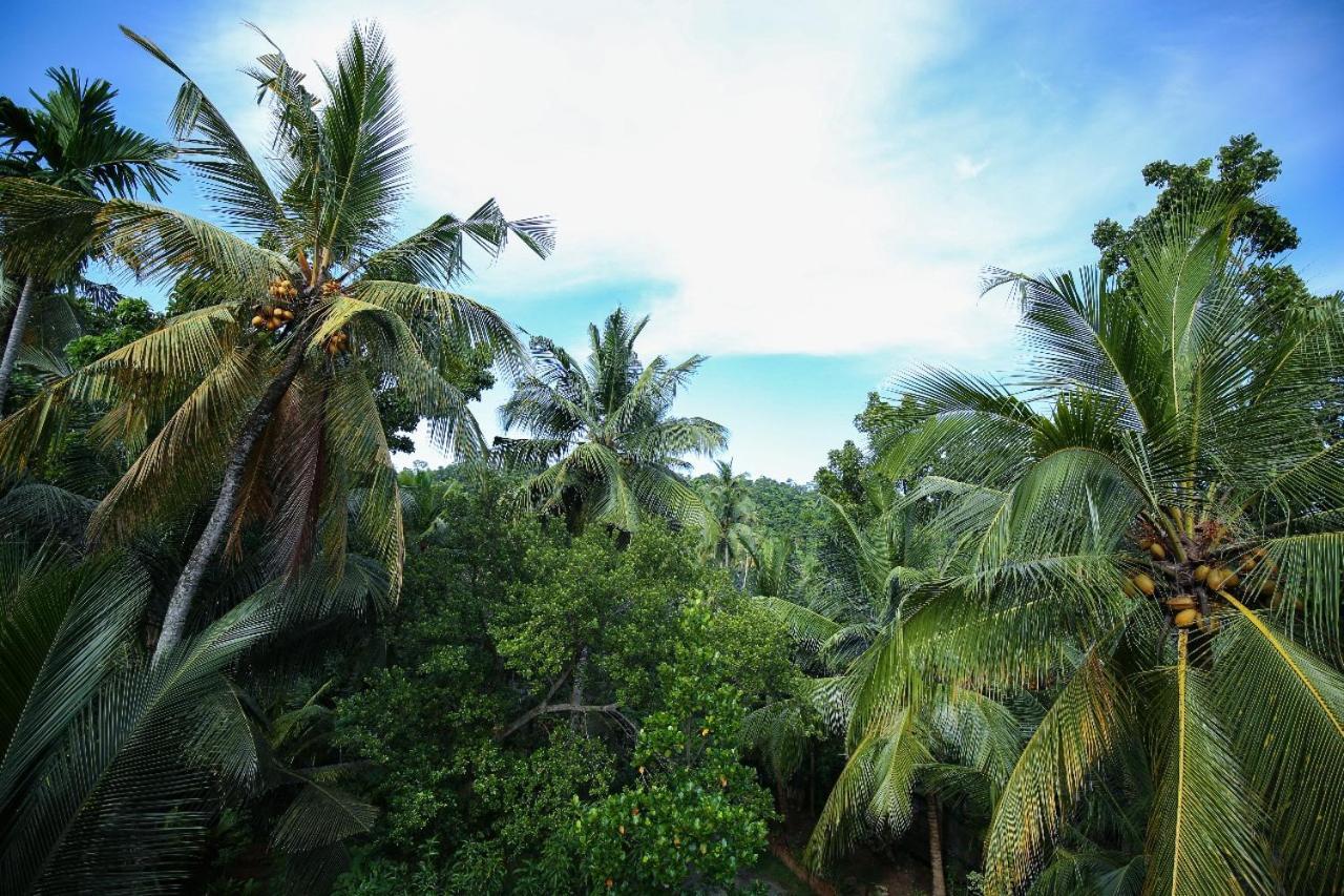 Homejay Residancies Unawatuna Bagian luar foto