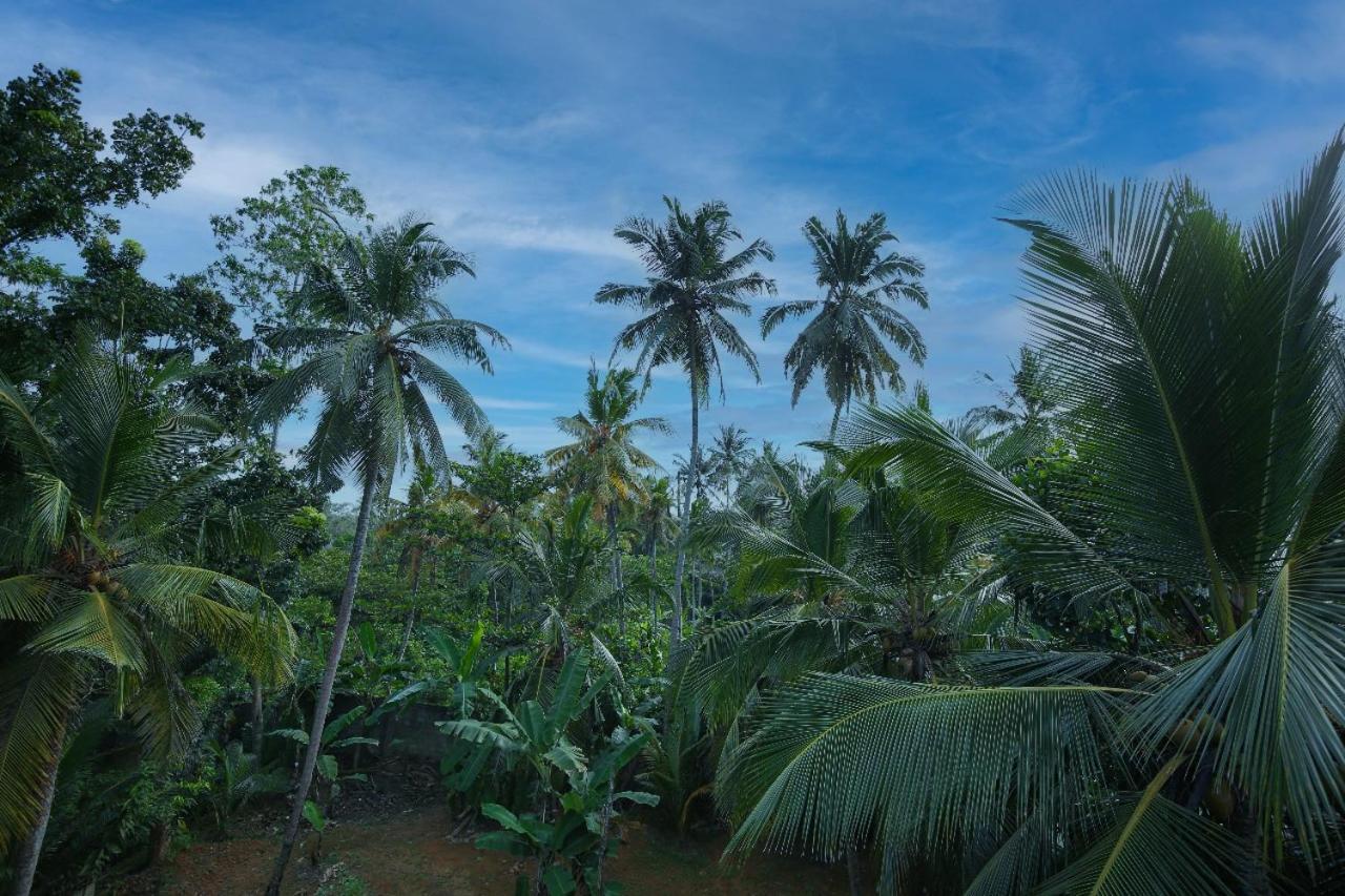 Homejay Residancies Unawatuna Bagian luar foto